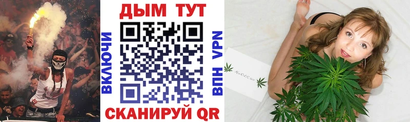 Бошки Шишки гибрид Усолье-Сибирское